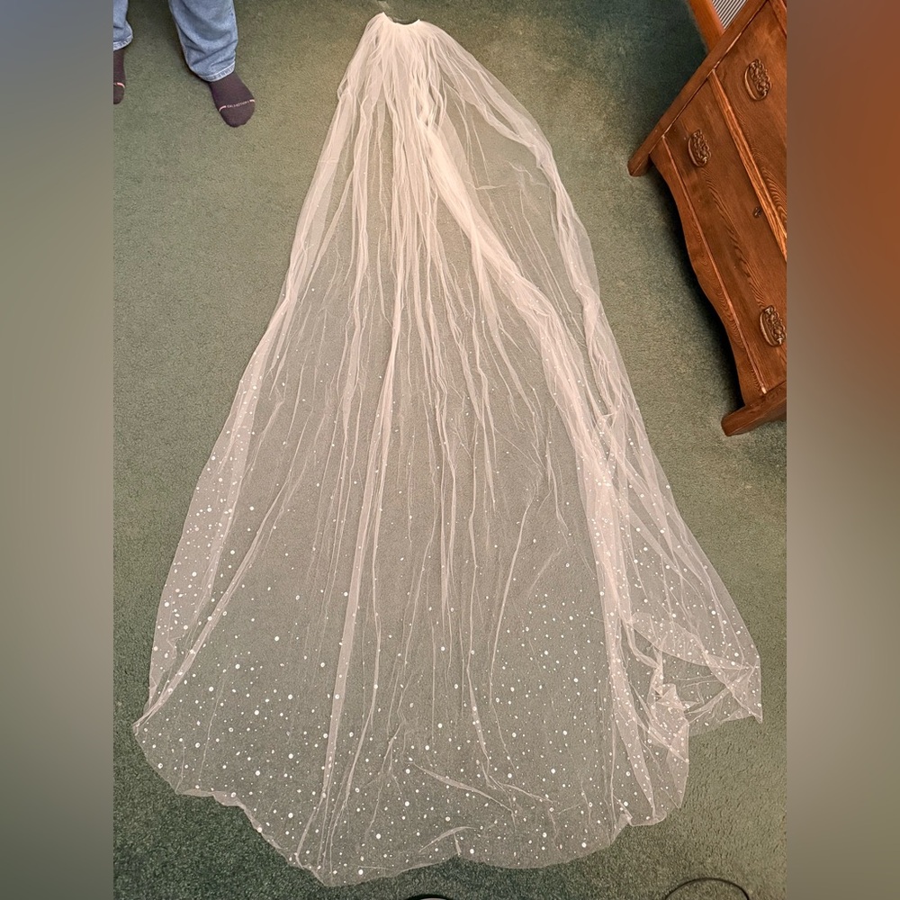 Off White Sheer Veil with Crystal Accents